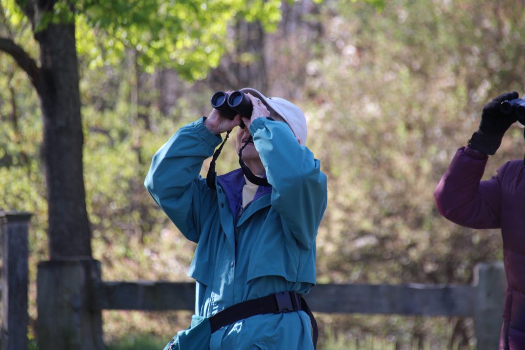 bird watchers with binoculars